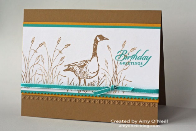 wetlands goose